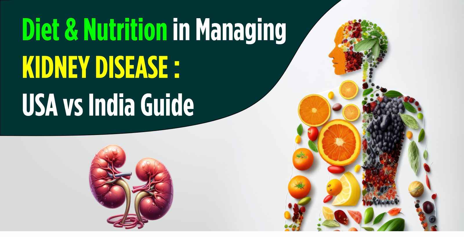 Diet & Nutrition in Managing Kidney Disease: USA vs India Guide